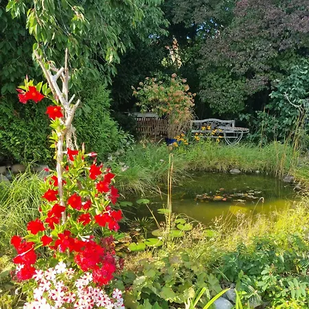 Taube Apartament Hildesheim